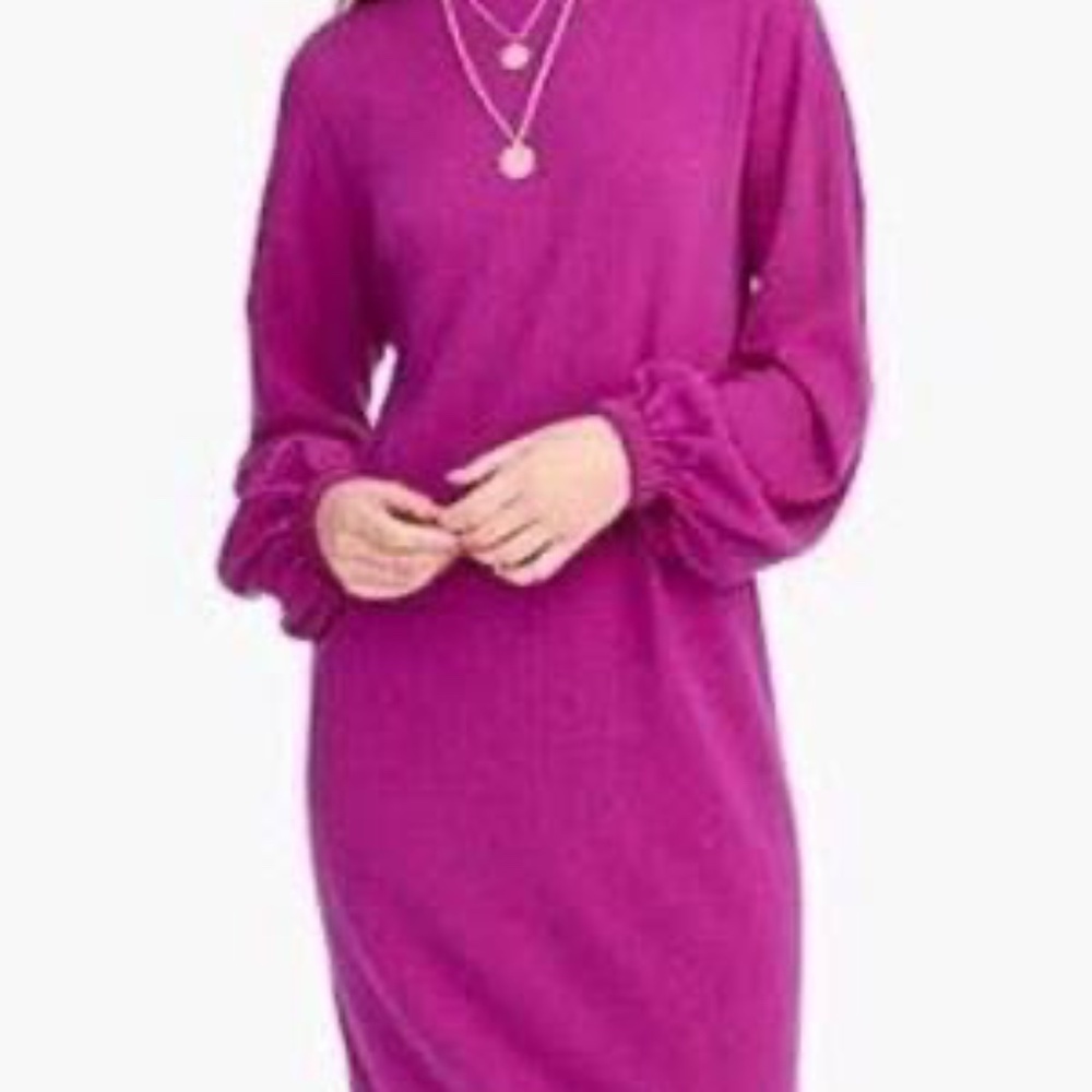 Universal Standard X J. Crew Pink Wool‎ Blend Raspberry Mock Neck Dress Sz XS